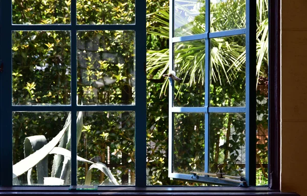 Verde Del Jardín Para Ver Desde Una Ventana — Foto de Stock