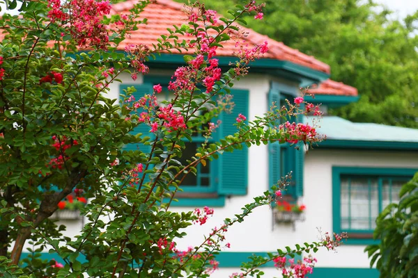 Una Casa Diurna Una Flor Roja — Foto de Stock