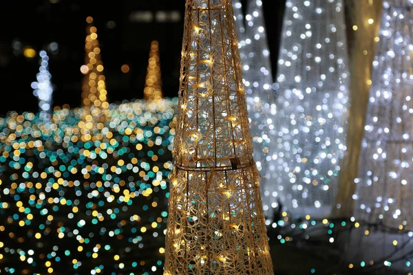 Iluminações Que Foram Exibidas Jardim Natal — Fotografia de Stock