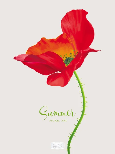 Lüks Parlak Kırmızı Vektör Poppy Çiçek Çiçek Dekorasyon Suluboya Tarzında — Stok Vektör
