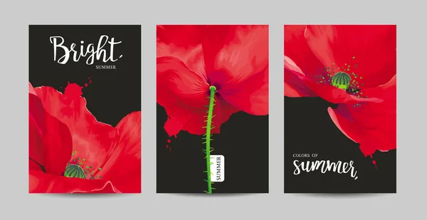 Luxe Heldere Rode Vector Poppy Bloemen Schilderijen Zwarte Achtergrond Met — Stockvector