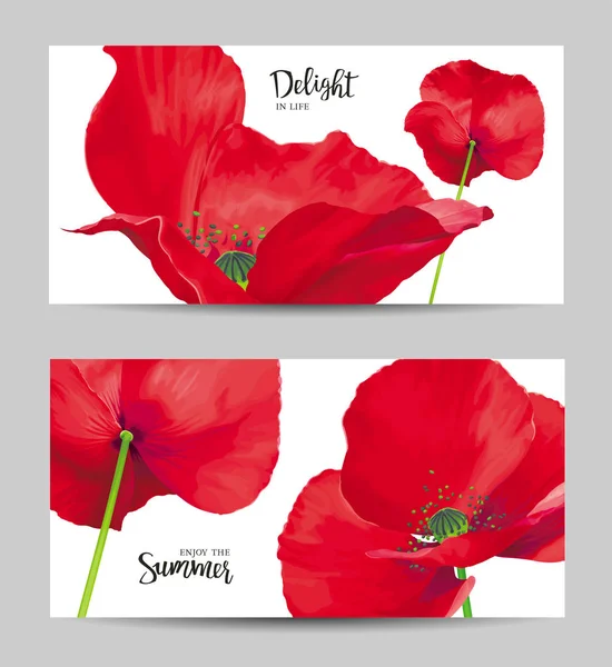 Luxueux Vecteur Rouge Vif Fleurs Pavot Peintures Sur Fond Blanc — Image vectorielle