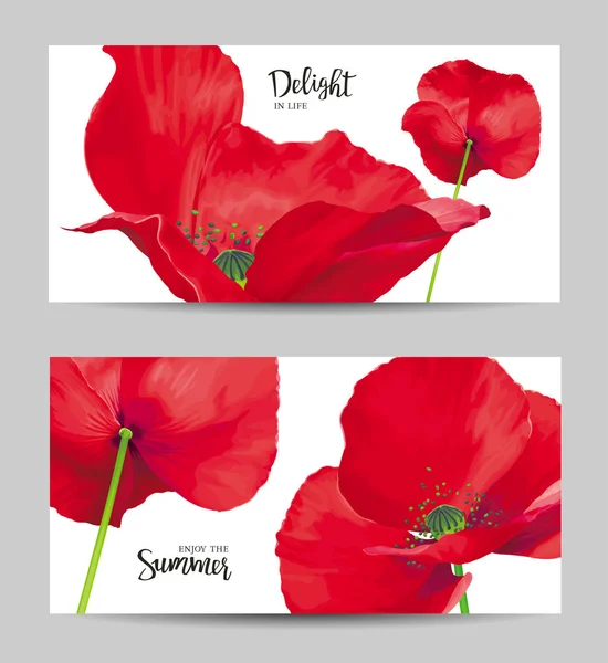 Luxe Heldere Rode Vector Poppy Bloemen Schilderijen Witte Achtergrond Met Rechtenvrije Stockvectors