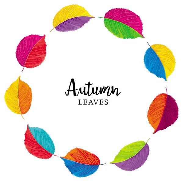 鲜艳的秋天叶子矢量花圈 夏季和秋季装饰模板 — 图库矢量图片