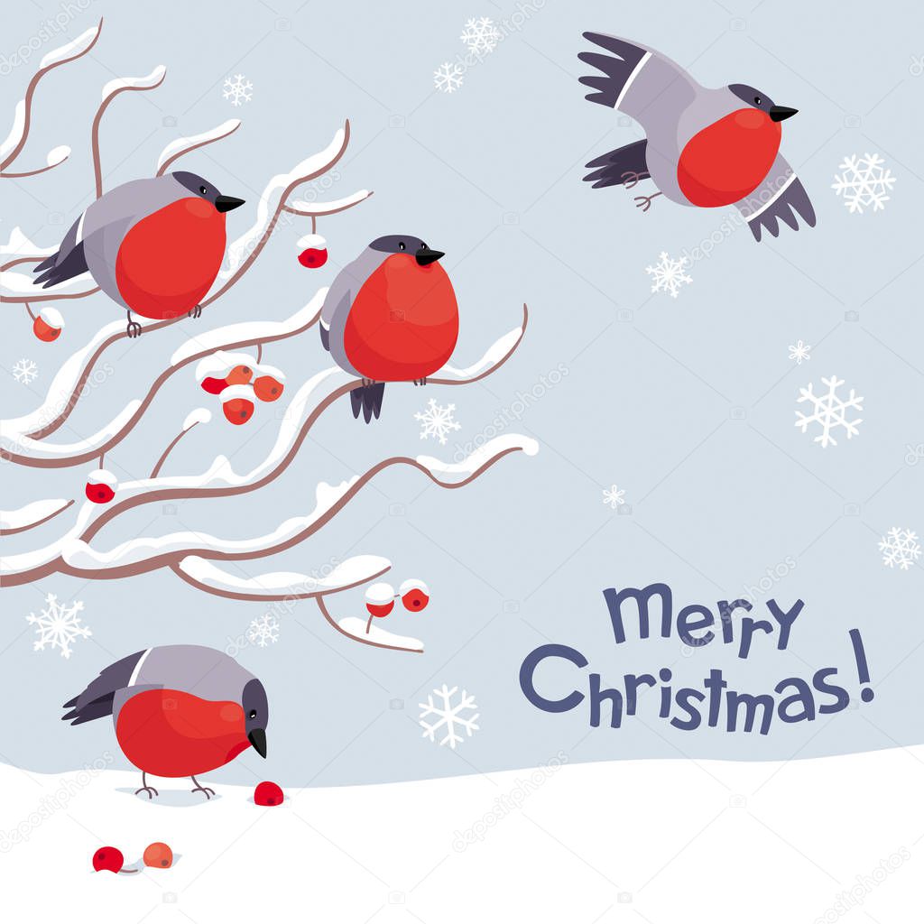 Funny Bullfinches and Rowan tree under the snowfall. Vector Christmas greeting card. For Christmas decoration, posters, banners, sales and other winter events.