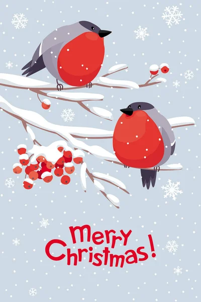 Funny Bullfinches Rowan Tree Snowfall Vector Christmas Greeting Card Christmas — Stock Vector