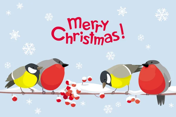 Funny Tits Bullfinches Vector Christmas Image Winter Birds Christmas Decoration — Stock Vector