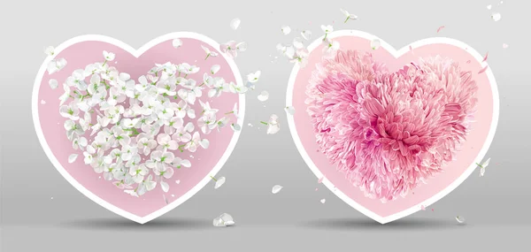 Uppsättning Två Blomma Hjärtan Äppelblom Och Rosa Krysantemum Vektor Valentines — Stock vektor