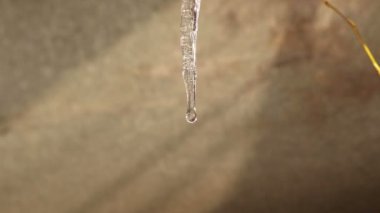 Küçük bir erime asılı Icicle closeup