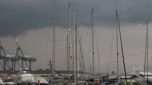 Mástiles Yates Estacionados Puerto Deportivo Chipre — Vídeo de stock