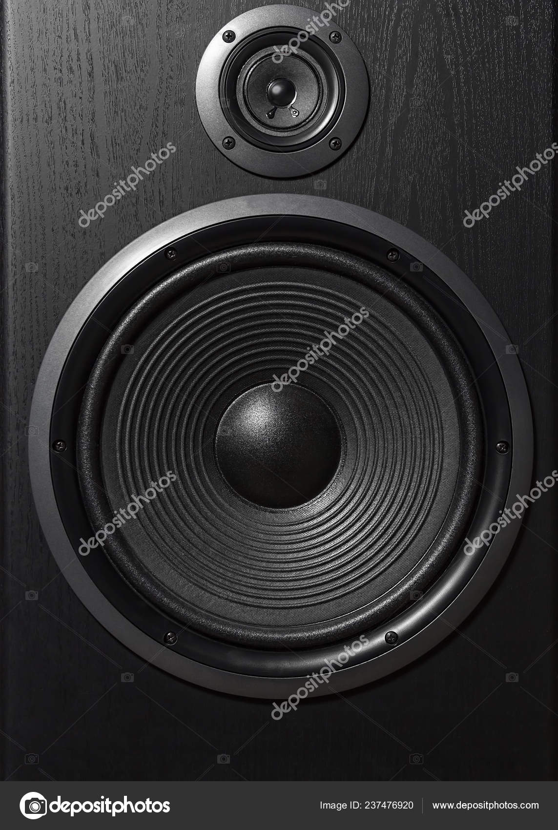 professional speaker box