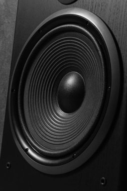 Siyah hoparlör kutusu Hifi kapatın. Dj, müzisyen, parti için profesyonel ses ekipmanları. Yüksek kaliteli stüdyo kayıt ses donatmak. Merhaba-Fi difüzör kurşun ahşap dolap kutusunda odaklanmak.