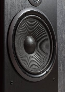 Siyah hoparlör kutusu Hifi kapatın. Dj, müzisyen, parti için profesyonel ses ekipmanları. Yüksek kaliteli stüdyo kayıt ses donatmak. Merhaba-Fi difüzör kurşun ahşap dolap kutusunda odaklanmak.
