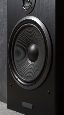 Siyah hoparlör kutusu Hifi kapatın. Dj, müzisyen, parti için profesyonel ses ekipmanları. Yüksek kaliteli stüdyo kayıt ses donatmak. Merhaba-Fi difüzör kurşun ahşap dolap kutusunda odaklanmak.