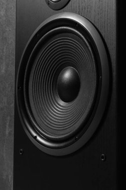 Siyah hoparlör kutusu Hifi kapatın. Dj, müzisyen, parti için profesyonel ses ekipmanları. Yüksek kaliteli stüdyo kayıt ses donatmak. Merhaba-Fi difüzör kurşun ahşap dolap kutusunda odaklanmak.