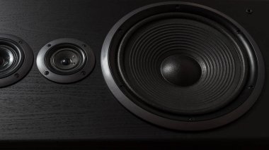 Siyah hoparlör kutusu Hifi kapatın. Dj, müzisyen, parti için profesyonel ses ekipmanları. Yüksek kaliteli stüdyo kayıt ses donatmak. Merhaba-Fi difüzör kurşun ahşap dolap kutusunda odaklanmak.