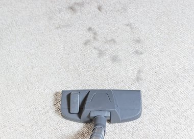 Vacuum cleaner. Carpet hoover. Cleaning. Cat hair. clipart