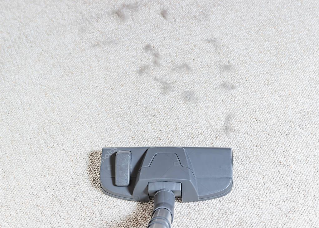 Vacuum cleaner. Carpet hoover. Cleaning. Cat hair.