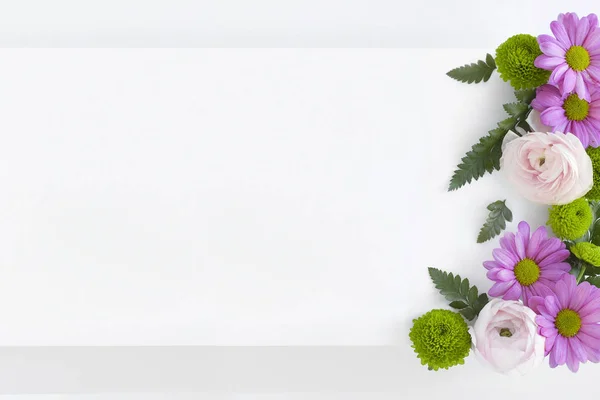 Lágy Rózsaszín Virágok Zöld Levelek Fehér Üres Növények — Stock Fotó