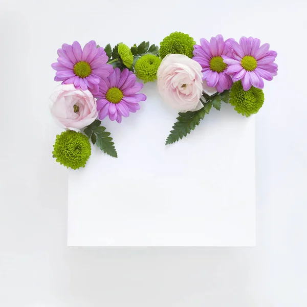 柔和的粉红色的花朵 绿叶和植物在白色空白 免版税图库图片