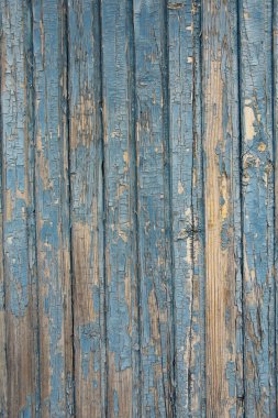 Cracked blue paint on old wood surface clipart