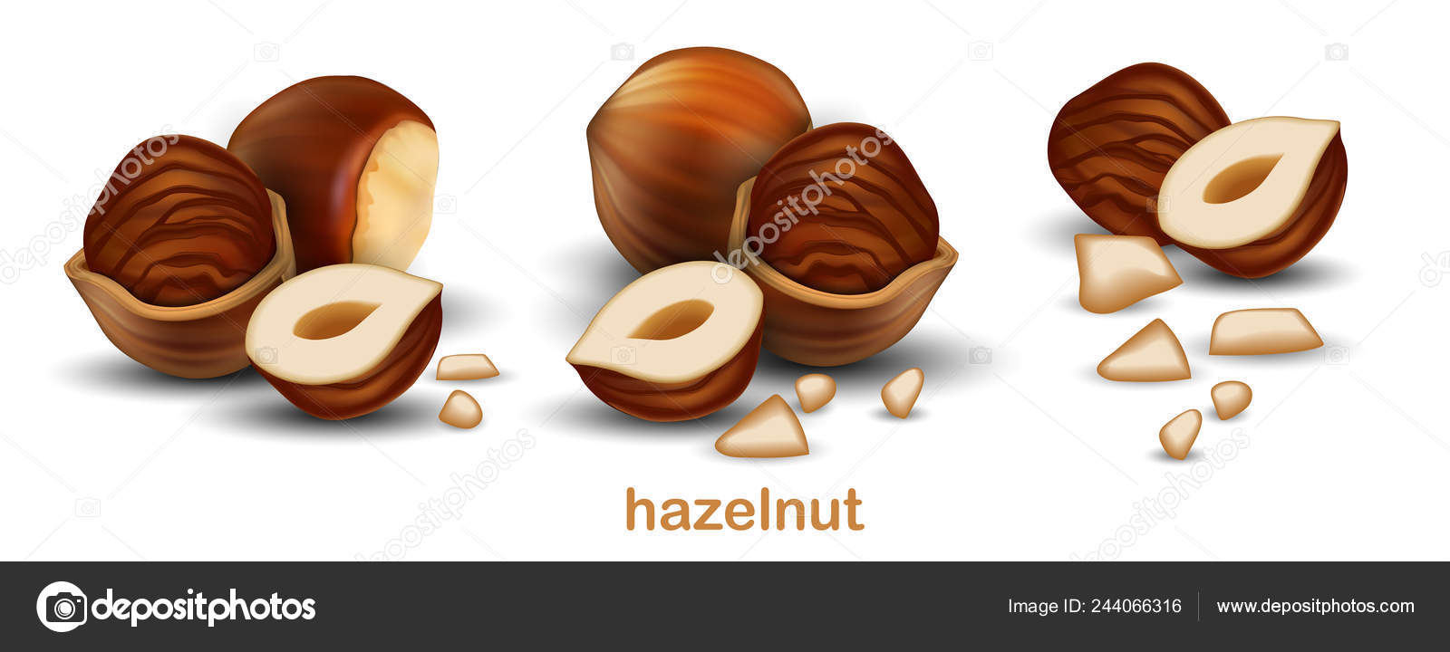 Hazelnuts Whole Nuts Half Nuts Half Nuts Shell White Background Stock