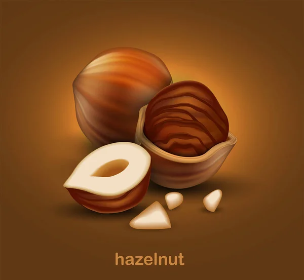 Hazelnuts Whole Nut Half Nut Half Nut Shell Brown Background — Stock Vector