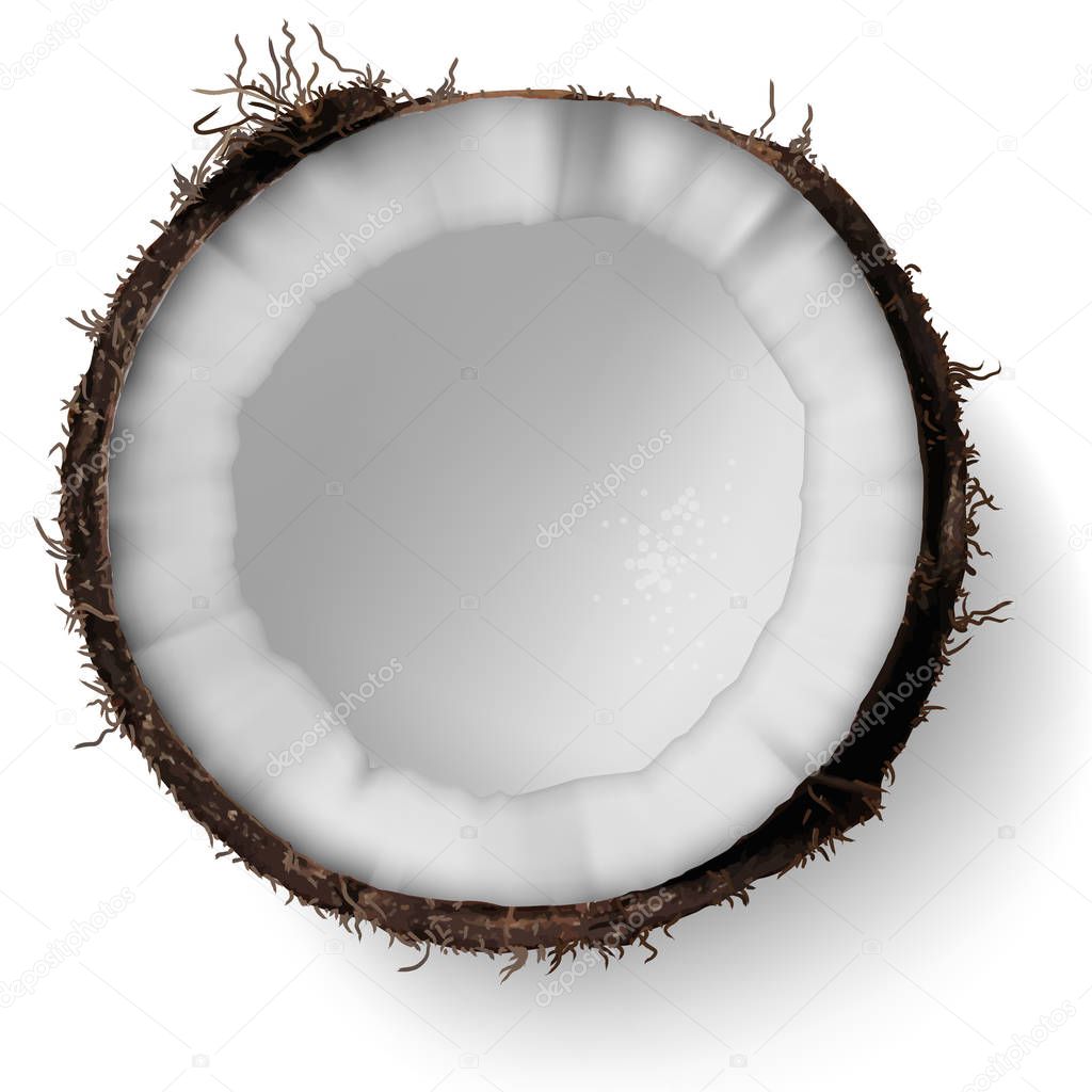 Half a coconut on a white background.  3D vector. High detailed 