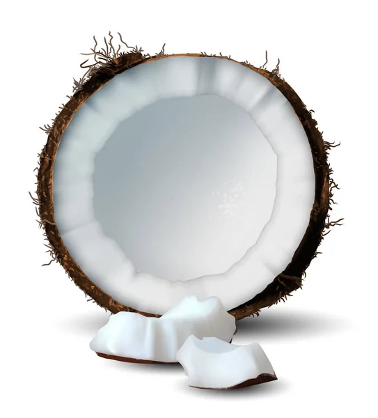 Couper la noix de coco et plusieurs morceaux sur un fond blanc. 3D — Image vectorielle