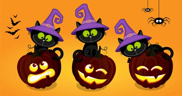 Set von drei schwarzen Kätzchen, die auf Halloween-Kürbissen sitzen, auf einem — Stockvektor