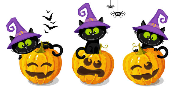 Set of three black kittens sitting on halloween pumpkins, on a w