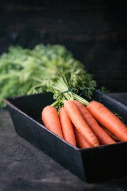 taze havuç grup rustik arka plan üzerinde