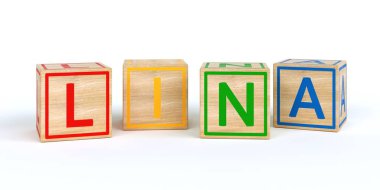 İzole ahşap oyuncak küpleri adı Louis ile harfler ile