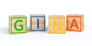 İzole ahşap oyuncak küpleri adı Louis ile harfler ile