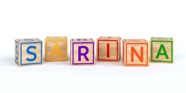 İzole ahşap oyuncak küpleri adı Louis ile harfler ile