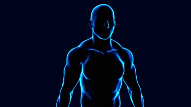 3D animasyonlu erkek vücudu anatomisi iplik siyah arka plan üzerine