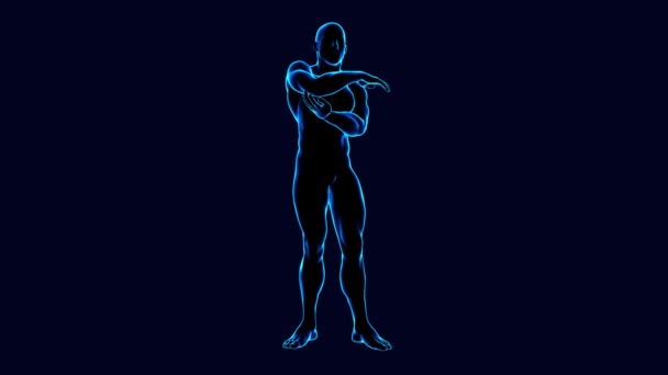 3d animated male body anatomy rotating on black background — Stock Video