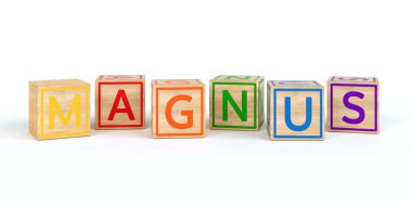 İzole ahşap oyuncak küpleri ile yazılmış adı magnus