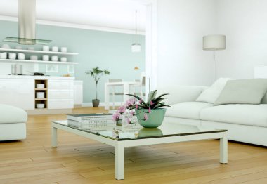 Modern parlak skandinavian iç tasarım Daire