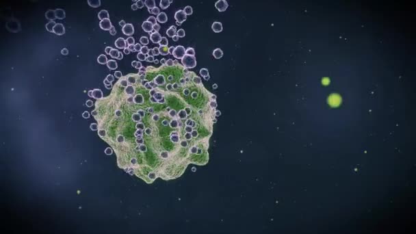 Resumen Animación de bacterias en vista microscópica — Vídeos de Stock