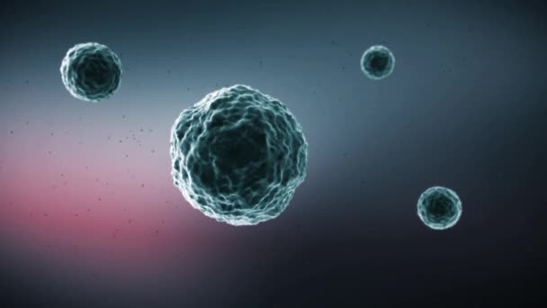 Bakterilerin mikroskobik görünümü'nde Soyut animasyon — Stok video