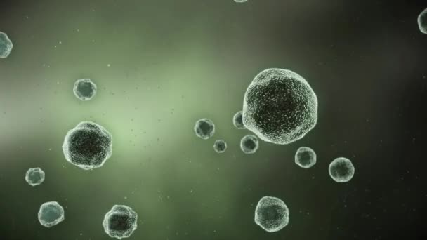 미세한 보기에서 박테리아의 추상 애니메이션 — 비디오