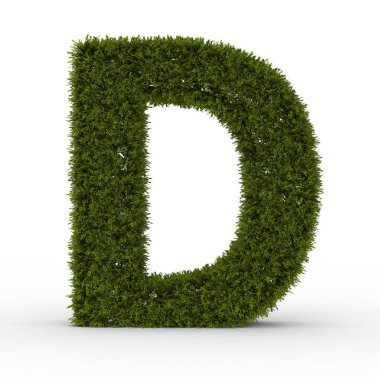 Ciğeri beyaz arka plan üzerinde izole D harfi