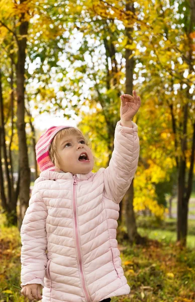 Pikkutyttö kävelee syksyllä metsässä — kuvapankkivalokuva