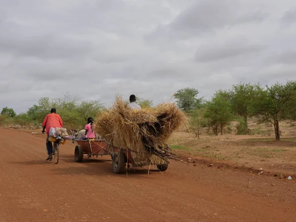 Agriculteurs Africains Sur Chariot Tiré Par Âne — Photo