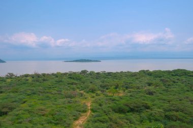 Baringo gölü Kenya'da ada