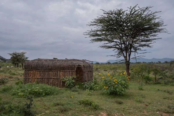 Хижина Масаи Кении — стоковое фото