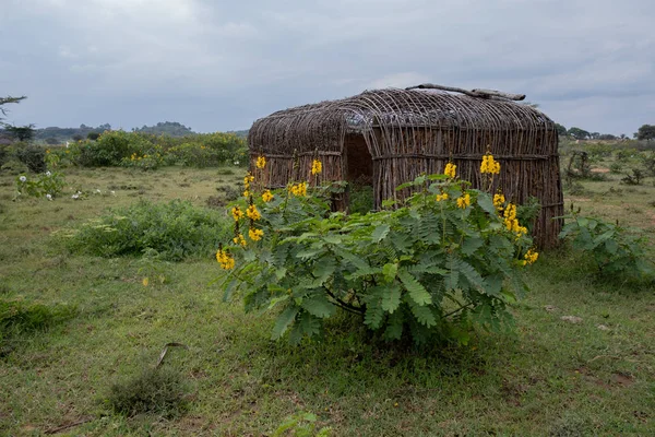 肯尼亚的一个马赛小屋 — 图库照片