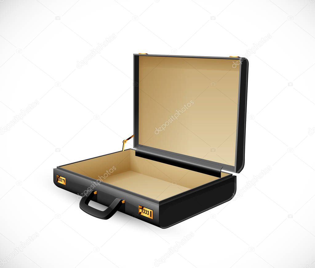 Business suitcase - finance concept - briefcase open and empty