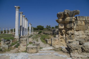 Antik kent Salamis antik spor salonunda korint sütunları, güneşli gün ve mavi gökyüzü, Mağusa, Nothern Kıbrıs